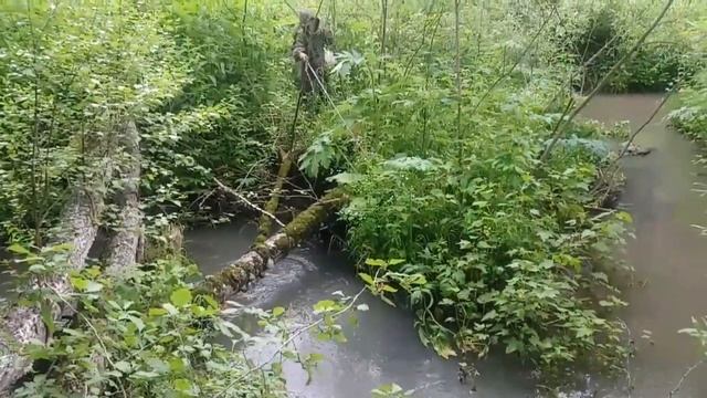 Самая моя неудачная рыбалка. Печаль смотреть онлайн