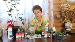 Хелатные удобрения – лучшие витамины для растений