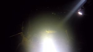 Подводная охота на реке Воронеж 26 октября 2017г.