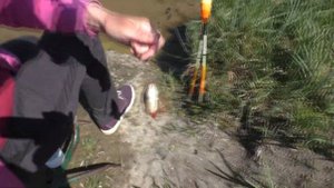 Рыбалка в карьере (май 2020) Попали на жор. My fishing
