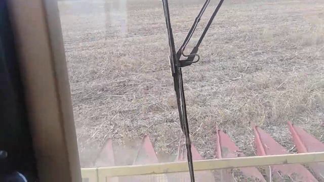 Уборка подсолнуха смотреть онлайн