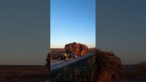 Мотоблок с двумя прицепами.12 л.с. перевозка