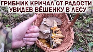 ❗ГРИБНИК КРИЧАЛ ОТ РАДОСТИ?УВИДЕВ ГРИБЫ В ЛЕСУ.?ГРИБЫ В ПОДМОСКОВЬЕ ПОЗДНЕЙ ОСЕНЬЮ