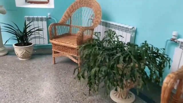 Завершились реставрационные работы в Зимнем саду смотреть онлайн