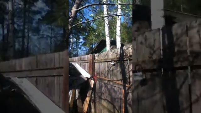 Сквирл)) Сам снимал :Ъ смотреть онлайн