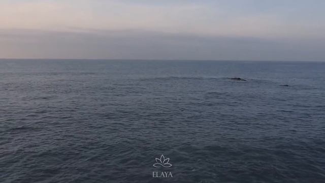 МОЛИТВА ИЗМЕНЯЮЩАЯ СУДЬБУ | Молитва Джозефа Мерфи на Привлечение Любви | Медитации Нового Времени
