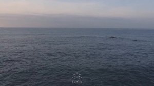 МОЛИТВА ИЗМЕНЯЮЩАЯ СУДЬБУ | Молитва Джозефа Мерфи на Привлечение Любви | Медитации Нового Времени