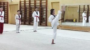 Taekwondo WTF. KORYO. Аттестация на 2 пхум