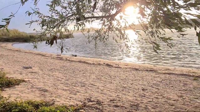 Золотые находки прут. Коп в Германии. (Sondeln am Rhein) смотреть онлайн