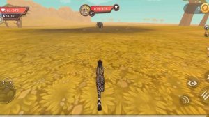 играем в вилд крафт коплю на вилд клуб