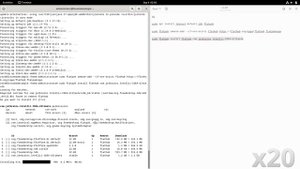 How to install Intellij Idea Ultimate on Debian 12