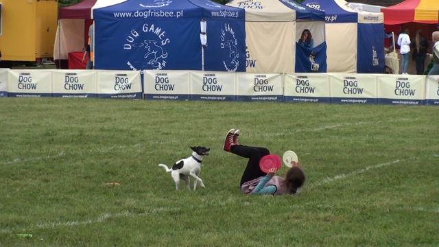 Дог-фризби чемпионат Европы 2012 в Польше.