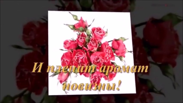 Лариса С Днем Рождения