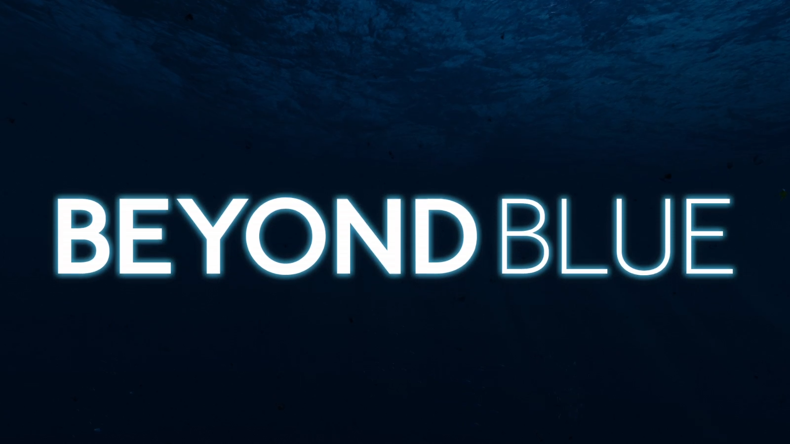 Все виды животных в "Beyond Blue"/ All kinds of animals in " Beyond Blue"