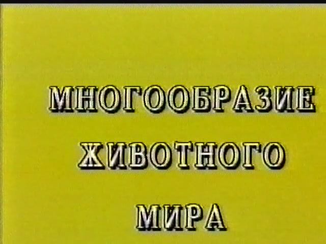 МНОГООБРАЗИЕ ЖИВОТНОГО МИРА