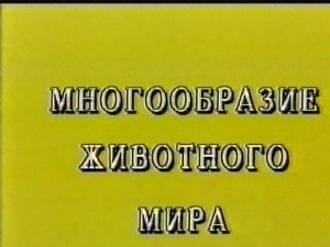 МНОГООБРАЗИЕ ЖИВОТНОГО МИРА