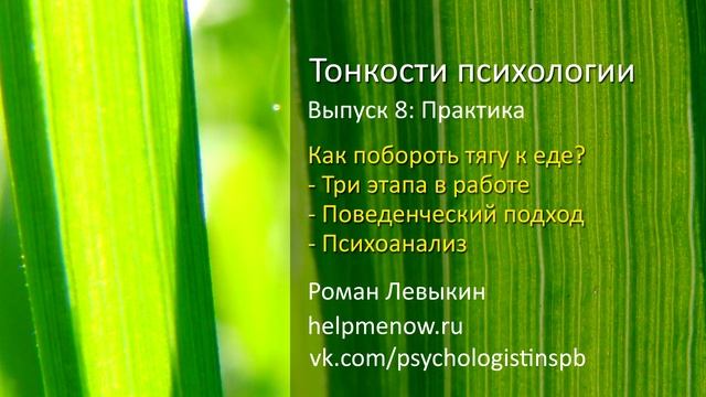 Как побороть тягу к еде (Тонкости психологии 8: Практика) смотреть онлайн