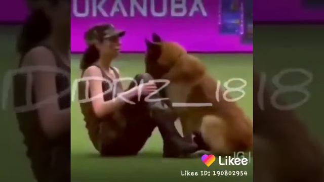 Уважайте животных и отплапать вам тем же смотреть онлайн