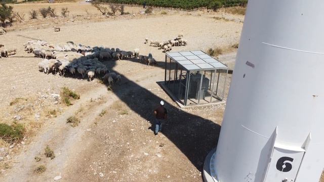 WIND FARM IWECO M.V. MEGALI VRISI 4,95MW