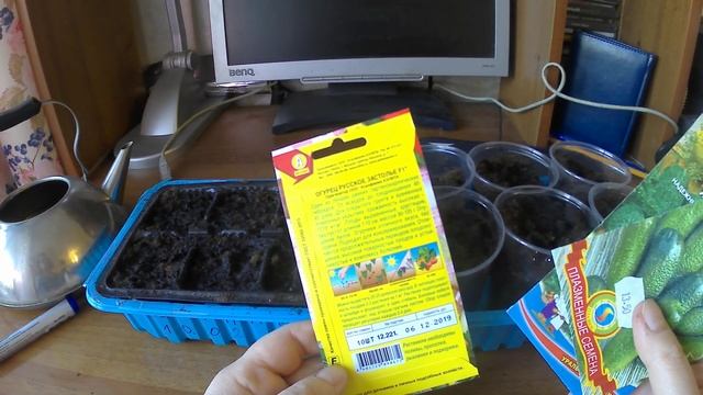 Какие огурцы посеять?// посев на рассаду:крупный план, подробно! смотреть онлайн