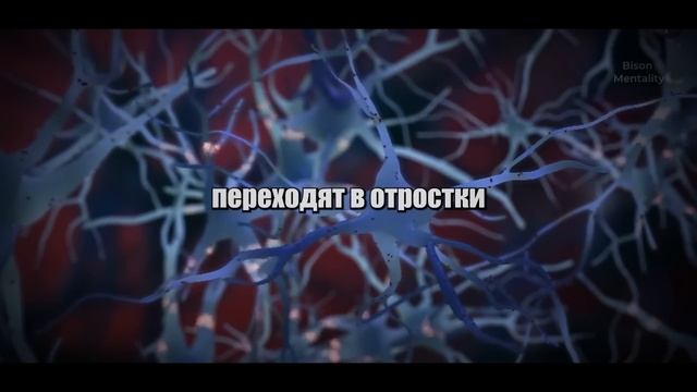 НЕЙРОУЧЕНЫЙ: Холодный Душ Повышает Тестостерон на 1000%