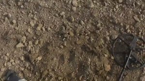 Поиск монет с Металлоискателем Garrett Ace 150