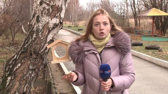 Сегодня в России отметили экологический праздник Синичкин день смотреть онлайн