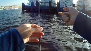 #21 Вечерний Street Fishing