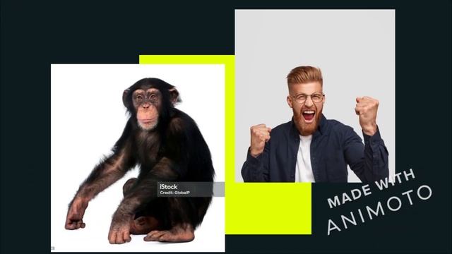 самое забавное видео (нет) смотреть онлайн