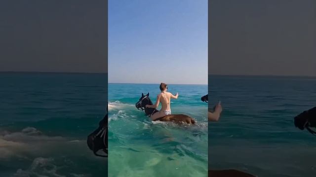 Верхом на лошади по воде