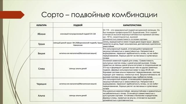 1ч. "Производство крупномерных плодовых 5,7,10 лет", Семен Стронгин