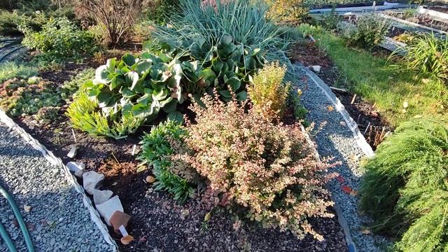 Яркие краски осенью?Прогулка по участку?16.10.2023 смотреть онлайн