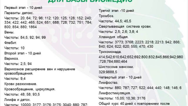 Доктор Малютина. Венозные проблемы и их коррекция с помощью биорезонанса