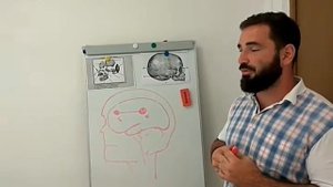 Отставание детей в развитии. Отставание речи и речевого развития ребенка. Остеопатия.