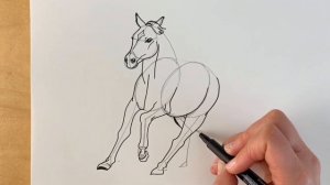 How to draw a HORSE cantering