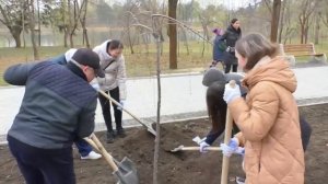 Acțiune de plantare a arborilor pe „Aleea Tinerilor”, din Parcul „La Izvor” (18.03.2023)