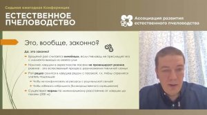 Ловля пчелиных роёв. Доклад на конференции «Естественное пчеловодство-2020». Алексей Фоменко.