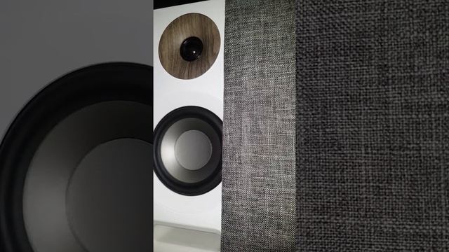 Jamo s803 Woofer taping issue