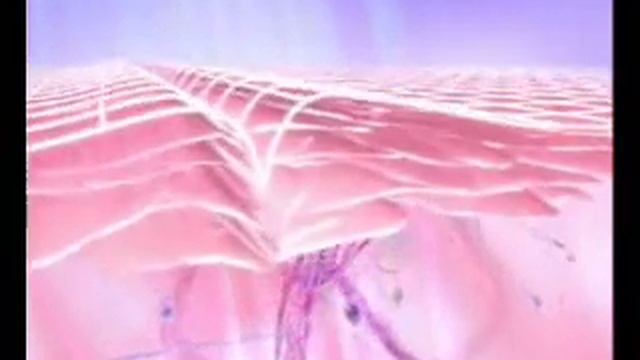 LPG Lift 6 Natural Face lift machine concept beauty uk смотреть онлайн