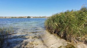 У реки Камышеваха.