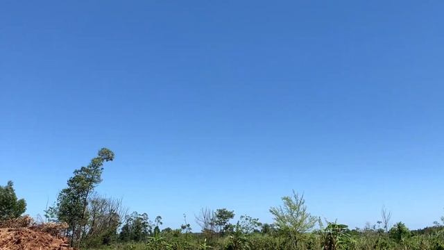 Строим дом в Парагвай и огород в #paraguay