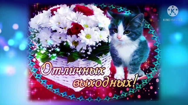 Всем прекрасных выходных ???!!! Замечательная открытка!!!