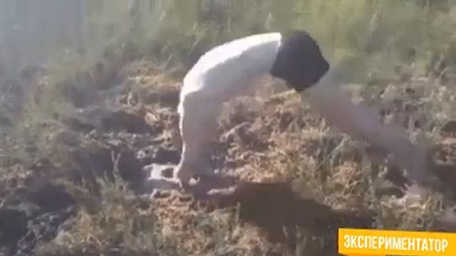 Проход в Нарнию !!!! смотреть онлайн