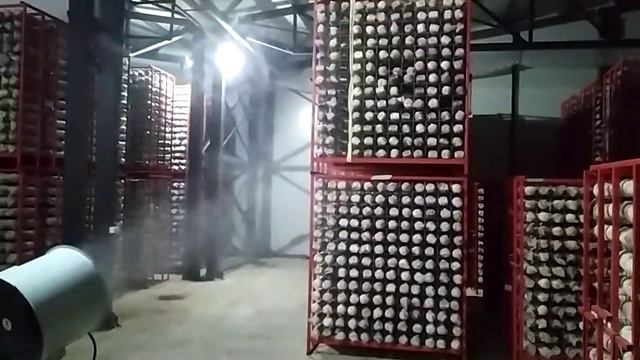Использование дискового центробежного увлажнителя для дезинфекции инкубатора