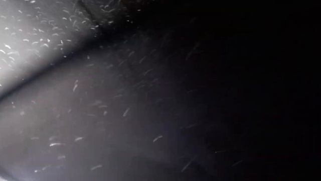 Первый выезд БУРЛАК АЗИМУТ. смотреть онлайн