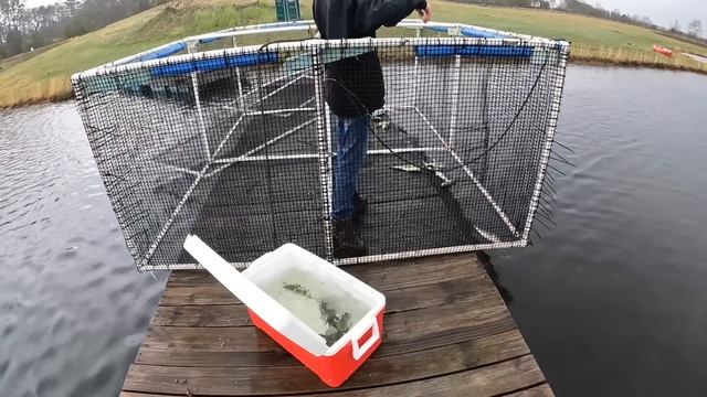 $10 Walmart Fishing Challenge! смотреть онлайн