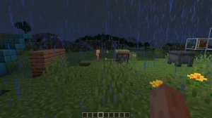 Новый снапшот 20w45a и Бета версия 1.16.200.53 - Minecraft 1.17