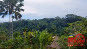 Бали. The Royal Pita Maha Ubud. Краткий обзор отеля.