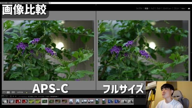 【画質比較】フルサイズカメラにaps-cのレンズを付けてみたら意外と...?~sony a7~ смотреть онлайн