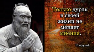 Конфуций. Только дурак в своей жизни не меняет мнения.